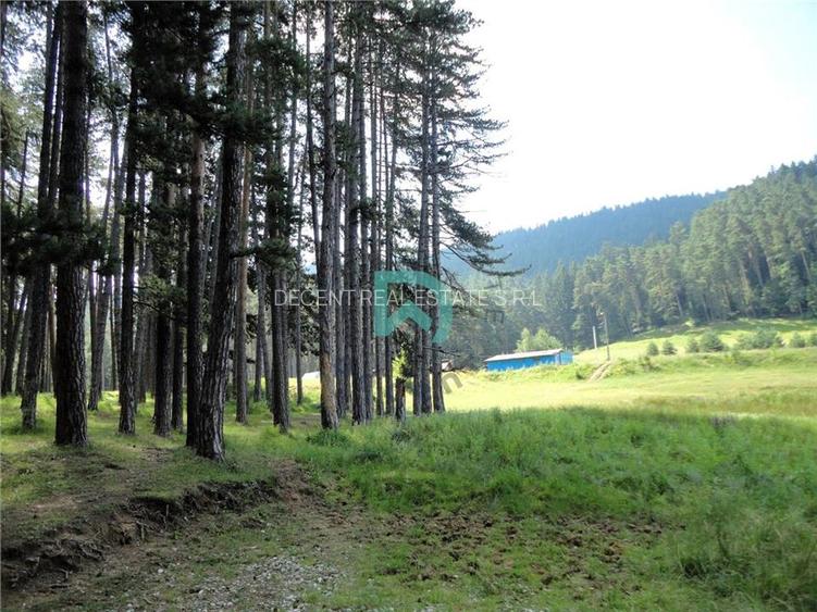 Teren Poiana Angelescu, Sacele, Brasov - 14