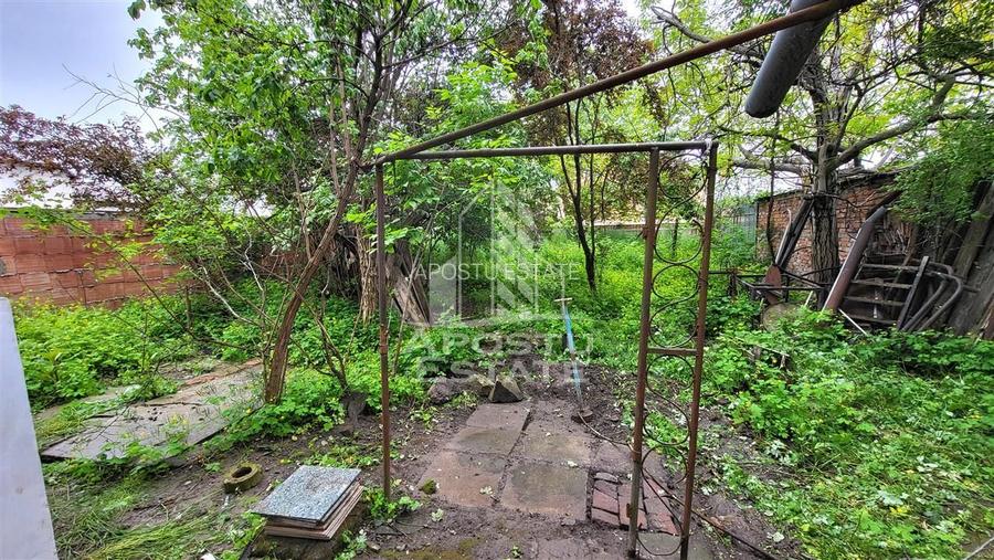 Casa ideala pentru birouri/alte activitati Mehala - 30