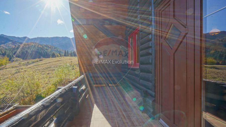 CASA INCONJURATA DE NATURA | DIN BUSTENI | 8 CAMERE | TIMISUL DE JOS - 30