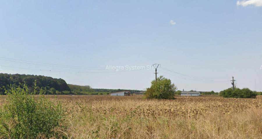 Str Stefaniță Vodă - vecin cu Pădurea Snagov, 30euro/mp - 2