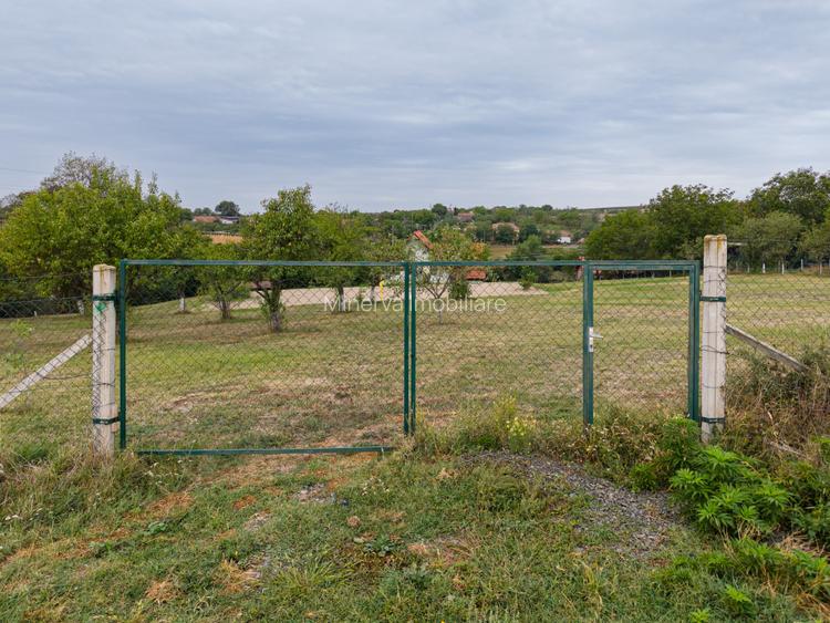 Teren intravilan 1584 mp in Murani – ideal pentru casa sau pensiune - 13