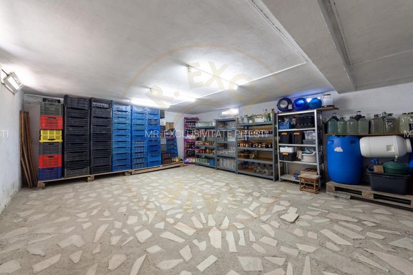 Casa visurilor cu livada roditoare si gradina amenajata - 13