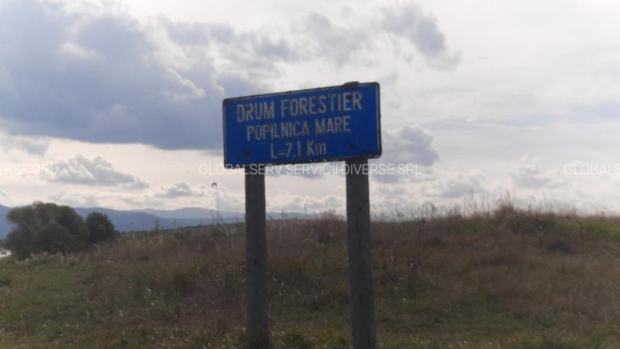 FARA COMISIOANE TEREN parcelabil 10756mp linga padure Comuna Dumbravita Brasov - 12
