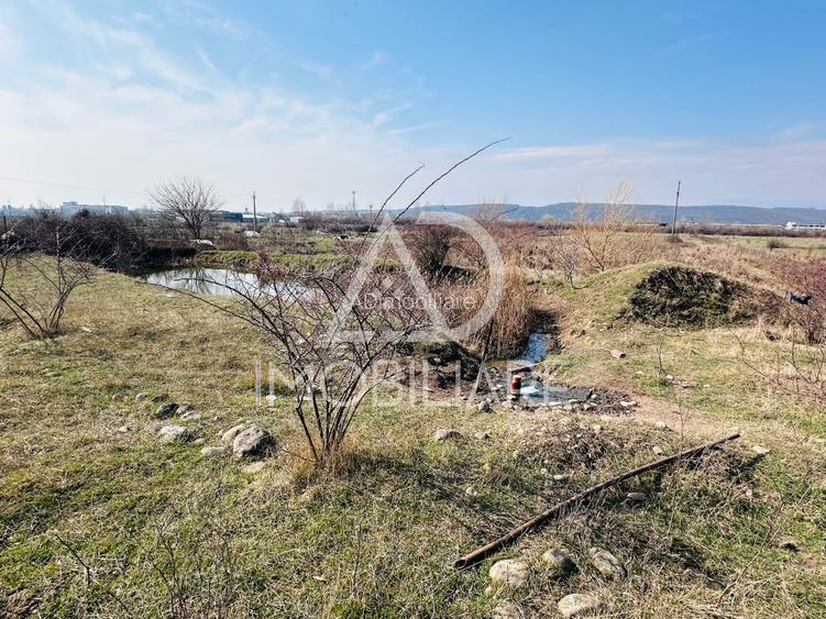 Vânzare teren comercial / industrial situat pe strada Narciselor , Târgu-Jiu - 4