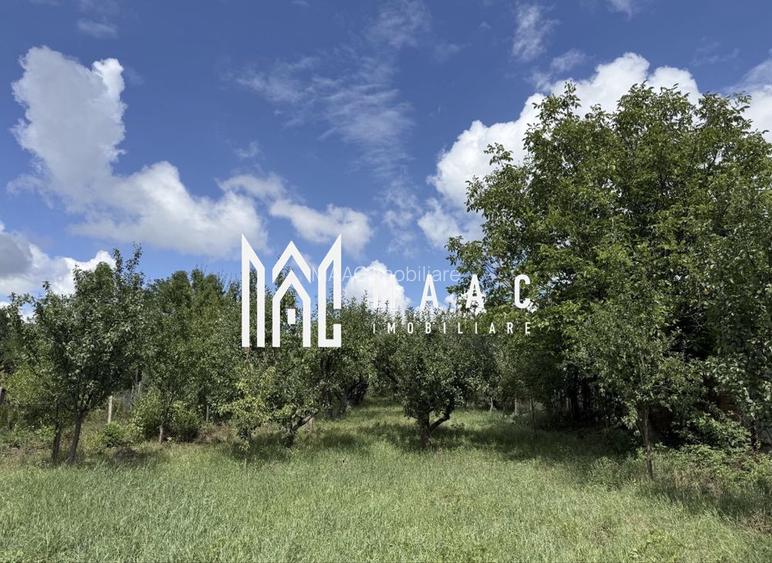 Casă de renovat I teren 1400 mp I Livadă I Central Săcel - 5