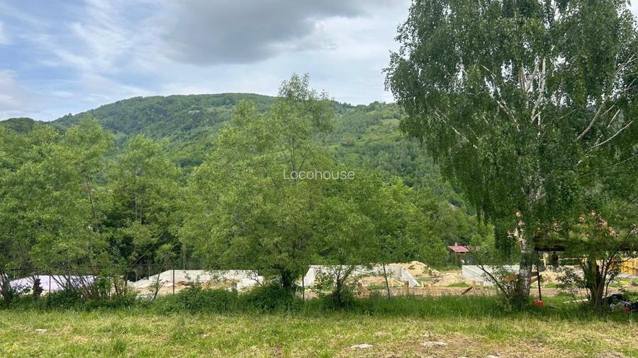 Teren Moieciu cu vedere catre Paitra Craiului - 2