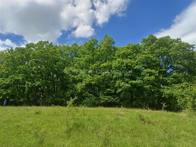 teren 550 mp de vanzare in Tocile - 4