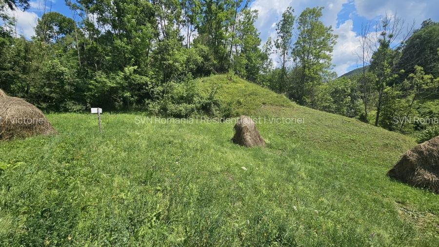 REL4001173 Teren de vanzare in Valea Doftanei - 11