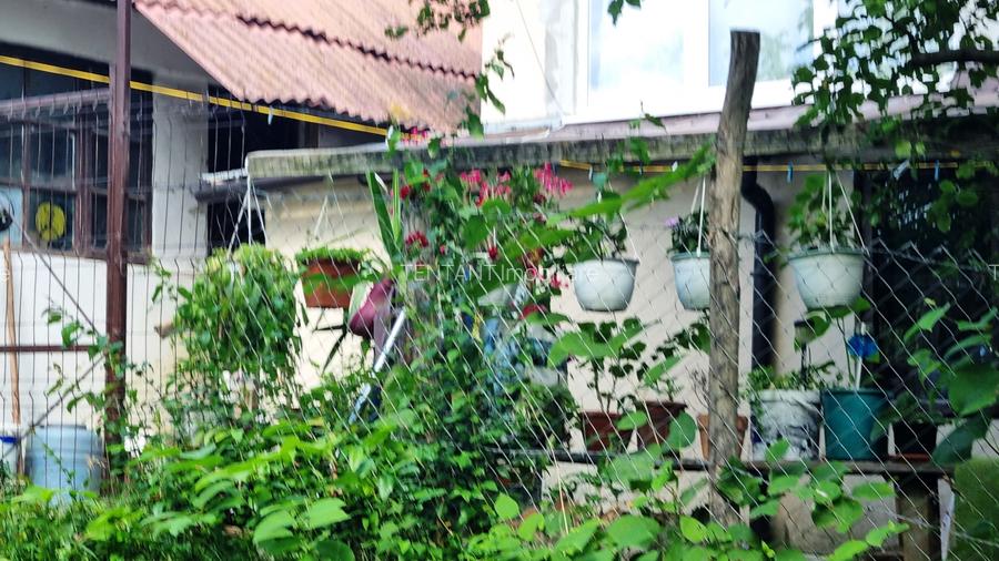 Vanzare Teren  construibil 5700mp Campul Lung Muscel - 11