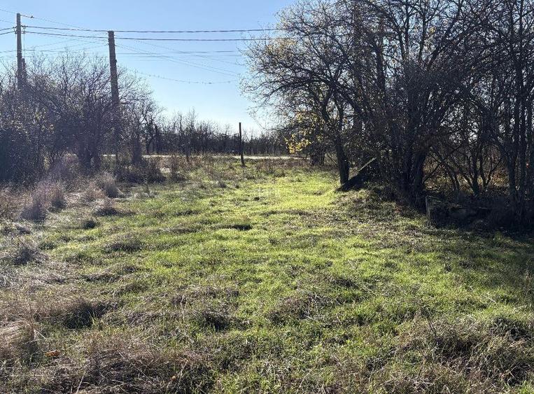 Teren zona linistita, padure la 11 km de Pitesti - 2
