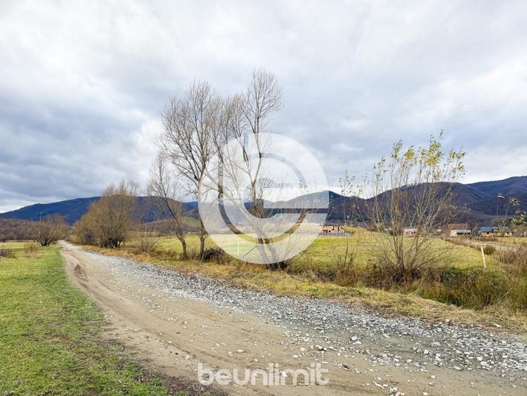 Teren intravilan în Tocile - 39 euro/mp - 4354 m² - 2 fronturi - 19