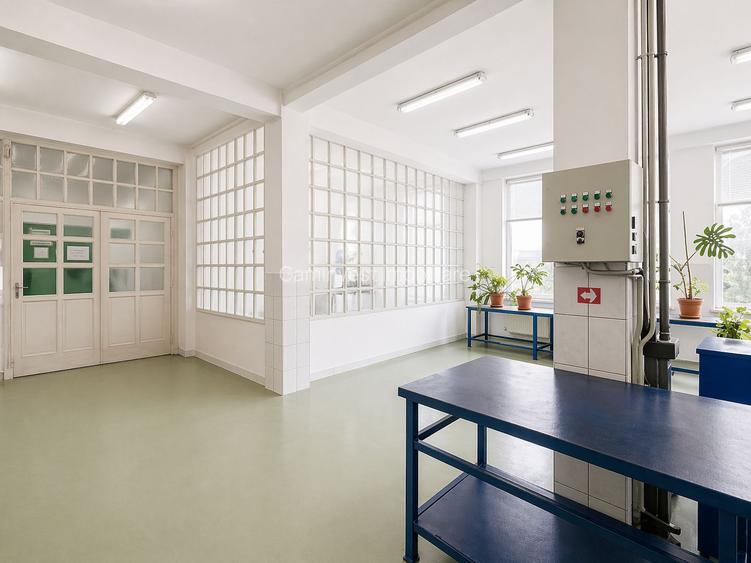 Cladire de birouri cu spatiu de productie de vanzare, Oradea, Bihor - 3