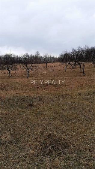 Teren Alunis / Jud. Prahova, 9.826 mp, D: 43 m , comision 0% - 6