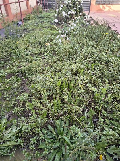 UNIVERSITATE CASA DE CARAMIDA CU 2 CAMERE 176 MP PRET 235000 EURO - 11