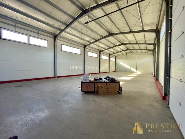 Hale Industriale noi de inchiriat in Parc Industrial pe Calea Borsului - 5