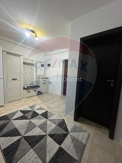 Apartament cu 2 camere de închiriat Subcetate - 14