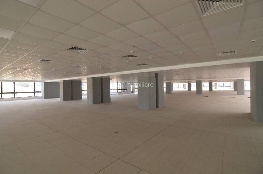 Sema Parc cladirea Bruxelles, Grozavesti, 1164 - 2616 mp  0% comision! - 14