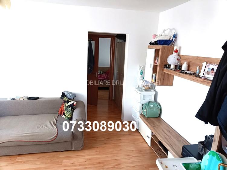 Drumul Taberei, Parc Moghioros, - 6