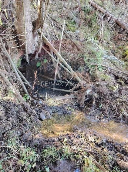 Teren 31,461mp Panaci / Prelungirea Ialovita - 14