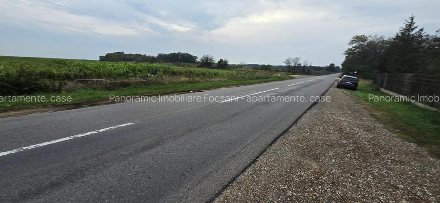 LIVADA  DE VANZARE FOCSANI-DUMBRAVITA  1,8  HA - 18