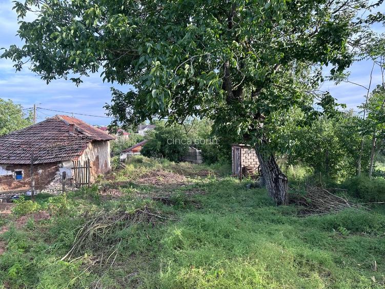 Teren intravilan + Casă bătrânească 944 mp  reconsolidare extindere - 7