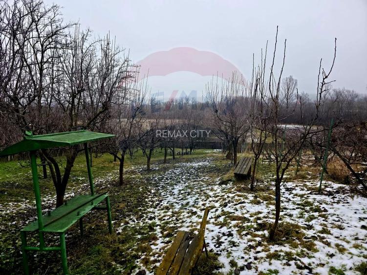 Teren intravilan 4,516mp Doina - 19