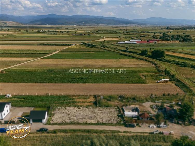 Teren intravilan, aliniament apreciabil, 741mp, Targu Secuiesc, Covasna - 4