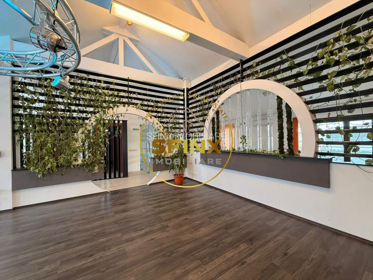 Cladire multifunctionala – sediu business , 1160 mp, garaj 11 masini, Cotroceni - 9