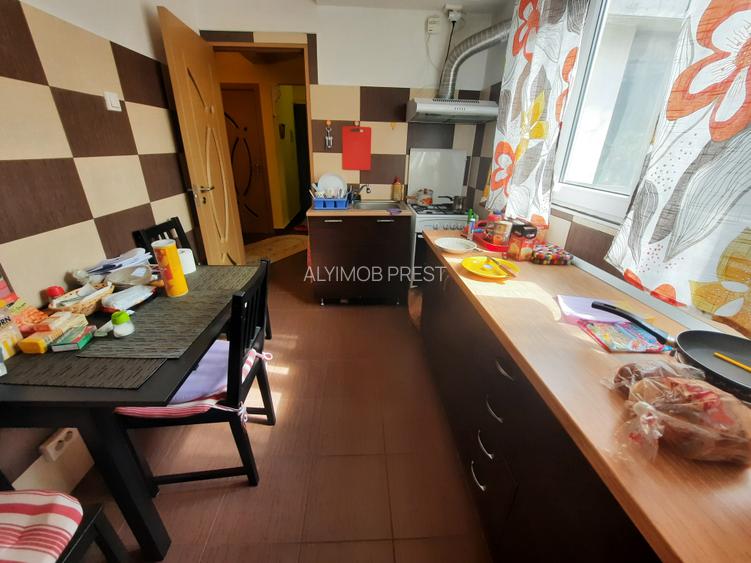 VANZARE 2 CAM  GIRGIULUI- DRUMUL GAZARULUI - 10