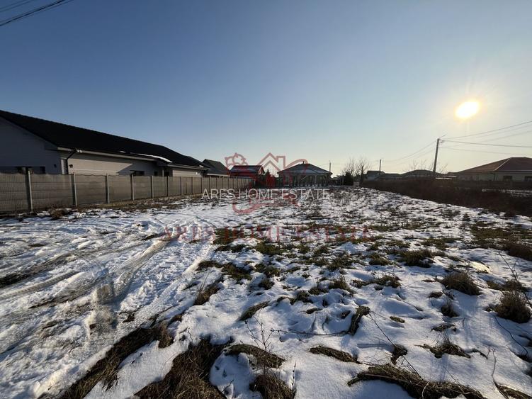 Teren intravilan cu toate utilitățile și front 20 m – Moșnița Veche - 2