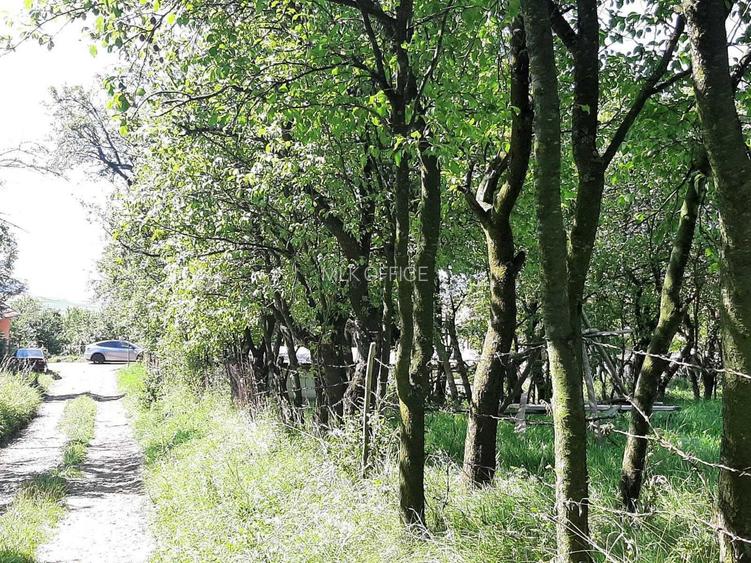 Teren de vanzare in Rediu - 2