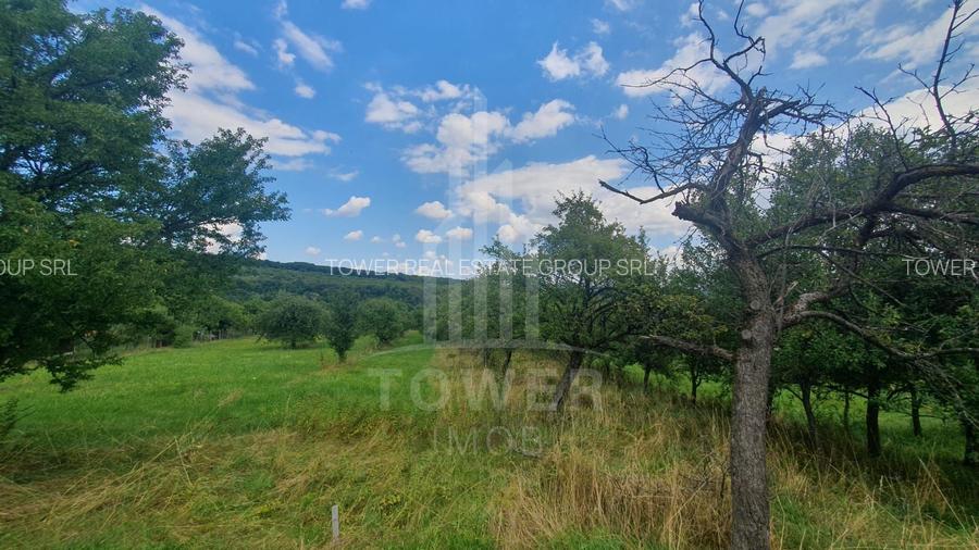 Teren de vanzare in Sibiel . - 6
