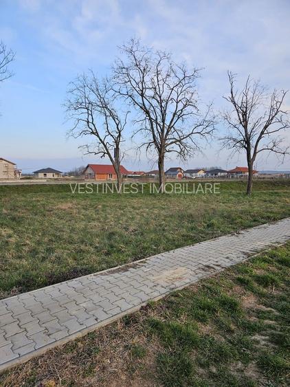 Teren 21600 mp in apropiere de Autostrada Transilvania - 3