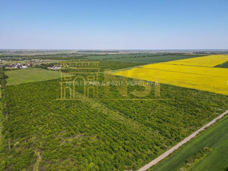 Mogosesti la 20 km de Bucuresti, ideal dezvoltare imobiliara - 3