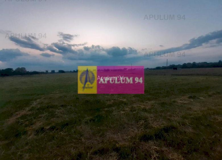 Teren aproape de Bucuresti langa padure - 16