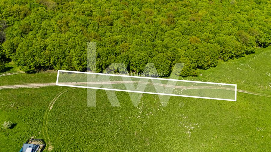 Teren 1500 mp | Zona Viesel – Codlea | Priveliște Superbă | Investiție - 2