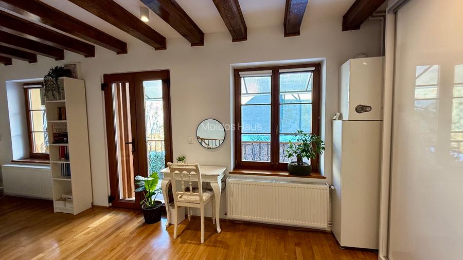 Casa - Apartament de inchiriat ultracentral - Pietonala N Balcescu - 9