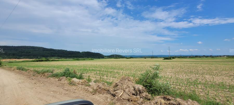 TEREN AGRICOL BABENI LANGA ABATOR LA PROVINCIA - pretabil ferma cu panour solare - 16