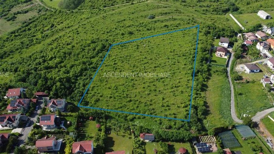 FILM!Oportunitate: 8.500mp, recomandat investitional/dezvoltare,Livezeni, Mures - 17