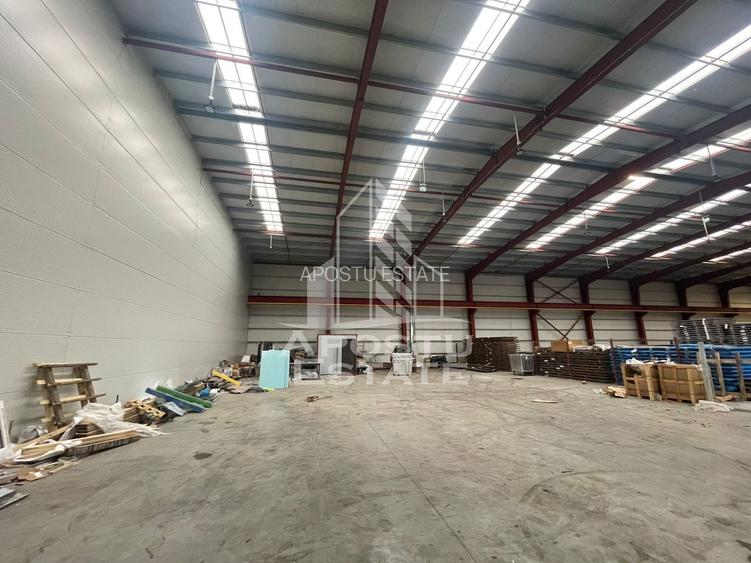 Hala 600 mp constructie noua, de inchiriat,  Sacalaz - 5