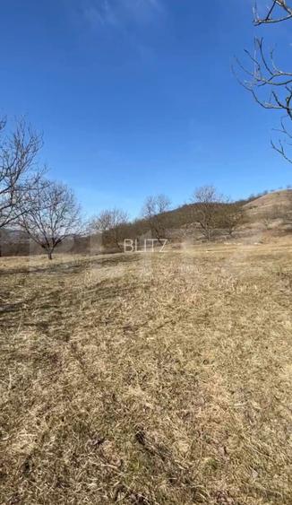 Livadă de nuci – 2 ha | Acces DN17 | Investiție profitabilă - Cristur - 4