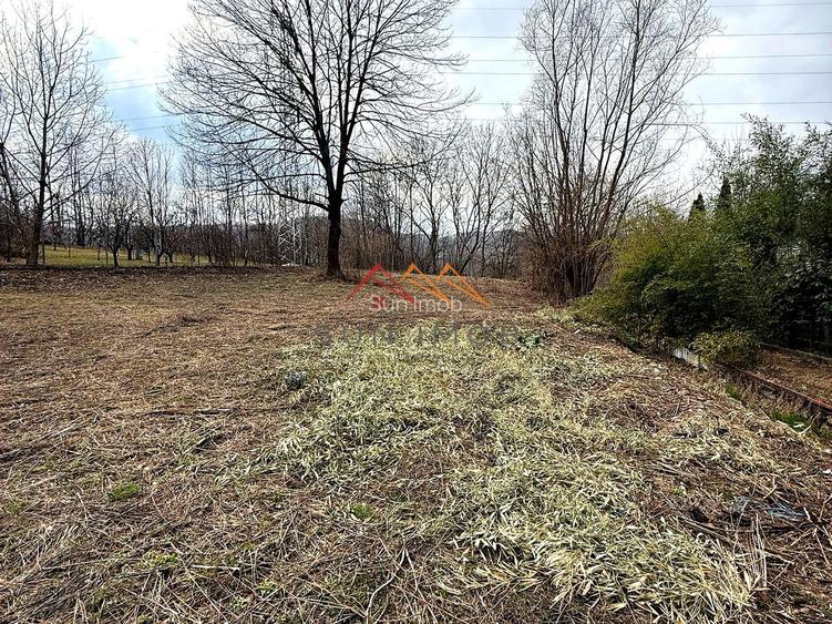 Teren intravilan 3171 mp | Cornu | 29 €/mp - 7