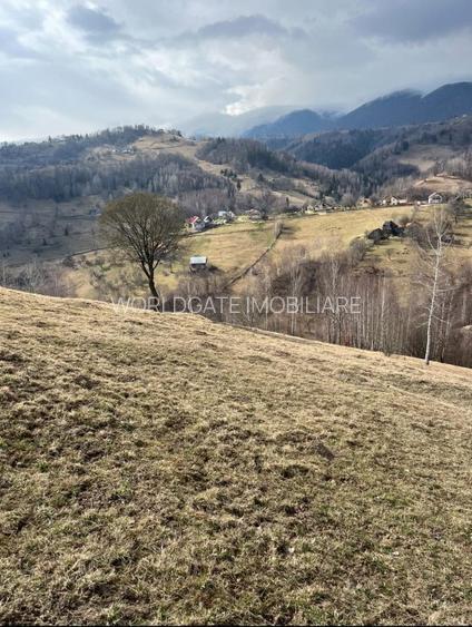 Vanzare Teren cu Punct de Belvedere in Moieciu zona Magura-Pestera - 13