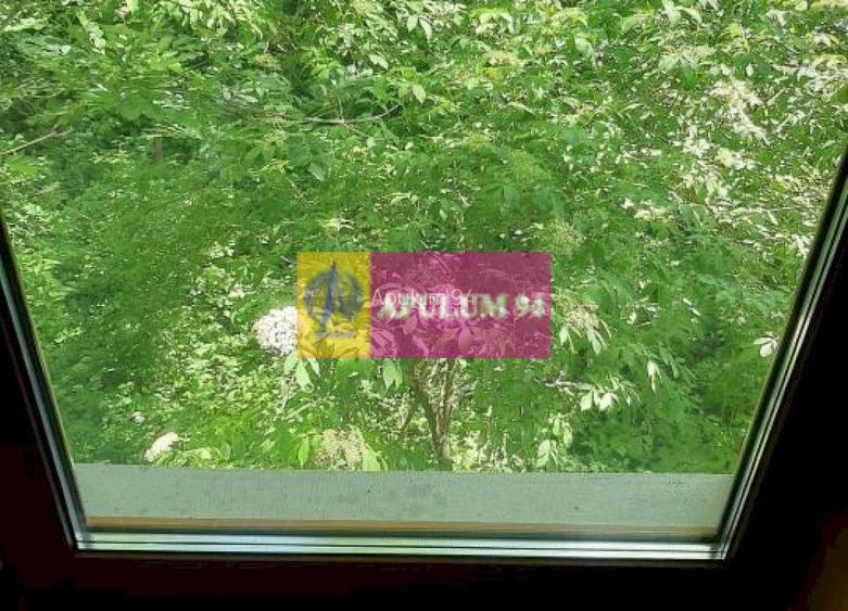 Casă de vânzare în Provița de Jos - 44