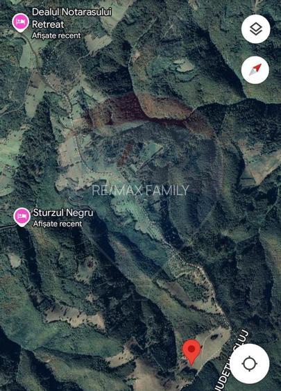 Teren 130000 mp extravilan, faneata si padure, Munteni - Bulz, Negreni - 4