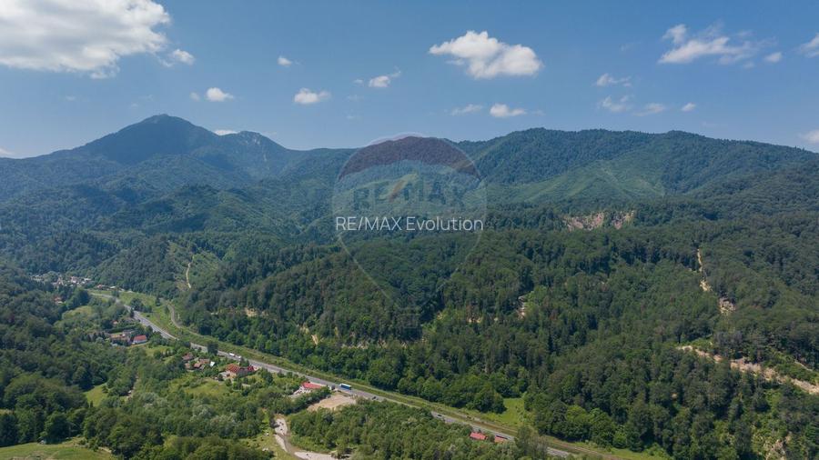 Teren intravilan, 3000 mp, Dâmbu Morii - 10