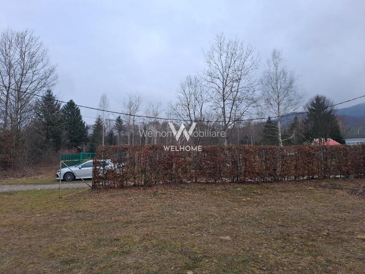 Teren deosebit pozitionat, cu livada, langa padure,  pe Valea Avrigului - 8