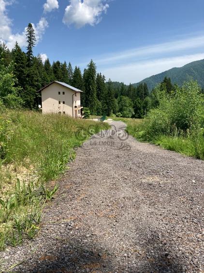 Vand teren intravilan Predeal, Timisul de Sus ideal obiective turistice - 7