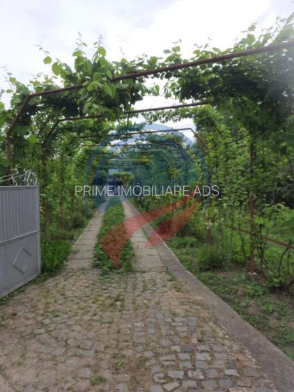 Casa de vanzare/Balcesti/Valcea/Str Pietii - 8