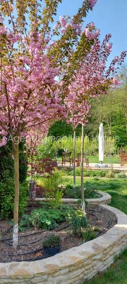 Proprietate deosebita in Agafton - 15